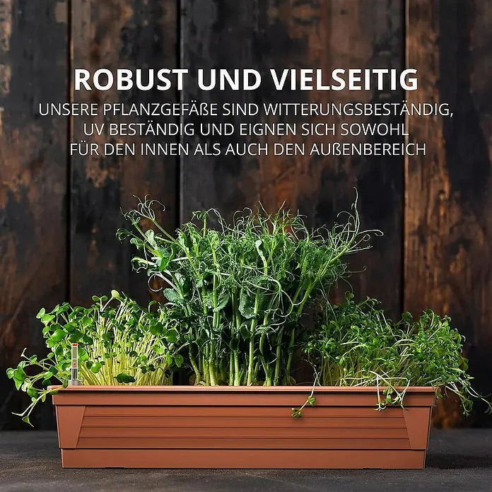 Plastard Pflanzkasten Milano 3er Set mit Hydroeinsatz & Wasserstandsanzeiger Terrakotta - Außenmaß (L x B x H): 80 x 21 x 17 cm, Kunststoff, Terrakotta