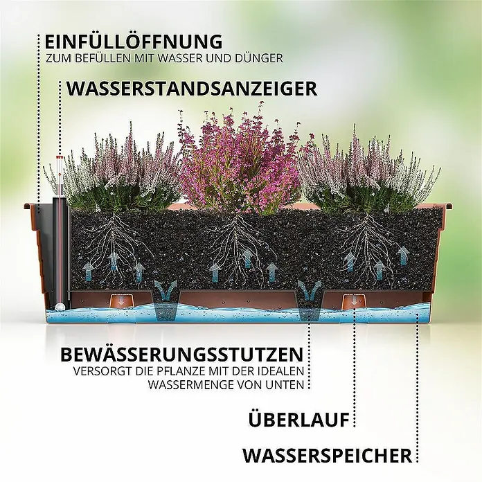 Plastard Pflanzkasten Milano 3er Set mit Hydroeinsatz & Wasserstandsanzeiger Terrakotta - Außenmaß (L x B x H): 100 x 21 x 17 cm, Kunststoff, Terrakotta