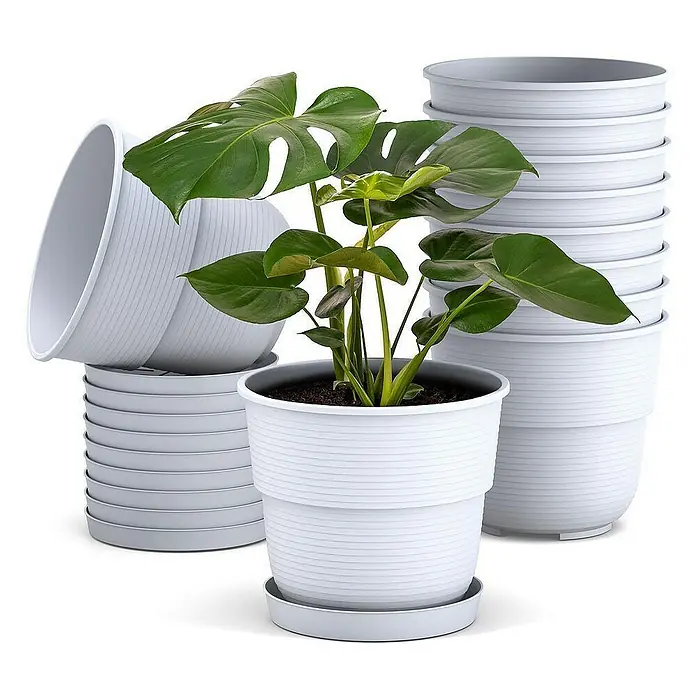 pflanztopf für monstera Pflanztopf aus Karton Monstera main image 0