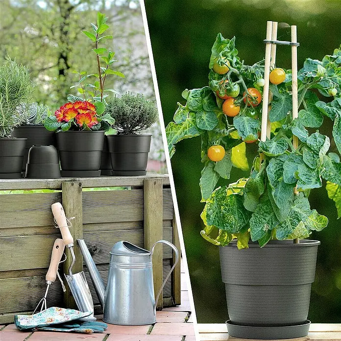 Plastard Pflanztopf Milano 5er Set mit Untersetzer in Anthrazit – Blumentopf - 5 Stk., Kunststoff, Anthrazit