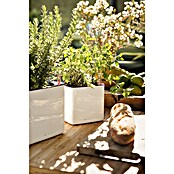 Lechuza Kräuterkasten Cube Glossy (Außenmaß (L x B x H): 17 x 17 x 16 cm, Kunststoff, Weiß, Glänzend) | BAUHAUS