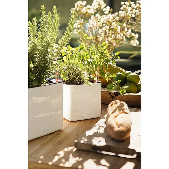 Lechuza Kräuterkasten Cube Glossy - Außenmaß (L x B x H): 17 x 17 x 16 cm, Kunststoff, Weiß, Glänzend - Kräutergarten mit Lechuza-Pflanzgefäßen. Die eleganten, weißen Töpfe mit Kräutern, Brot, Limetten und Blütenzweigen verschönern jede Tafel.