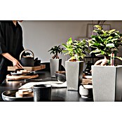 Lechuza Pflanztopf Cubi (Außenmaß (L x B x H): 14 x 14 x 26 cm, Kunststoff, Grau) | BAUHAUS