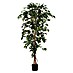 Kunstpflanze Ficus Benjamina 