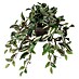 Umetna rastlina Tradescantia 