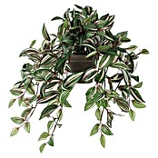 Umetna rastlina Tradescantia  (Višina: 45 cm, Plastika) | 8471 - Seidenblumen/Kunstpflanzen | IDDQ - Seidenblumen/Kunstpflanzen | IDD - Trendy | ID - Trendy | I - Stadtgarten | BAUHAUS