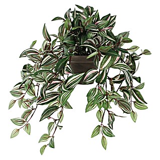 Umetna rastlina Tradescantia (Višina: 45 cm, Plastika)
