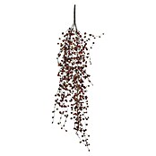 Umetna roža Peperomia  (80 cm, Plastika) | Svilene rože | Cvetličarstvo | Rastline | Vrt in prosti čas | Izdelki | BAUHAUS