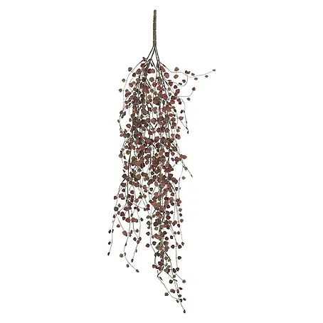 Kunstblume Peperomia