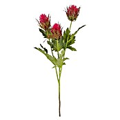 Kunstblume Distel (67 cm, Dunkelrosa, Kunststoff) | BAUHAUS
