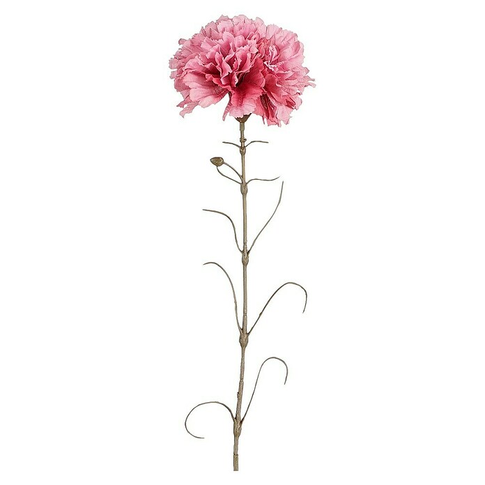 Kunstblume Nelke Rosa (66 cm, Dunkelrosa, Kunststoff) | BAUHAUS
