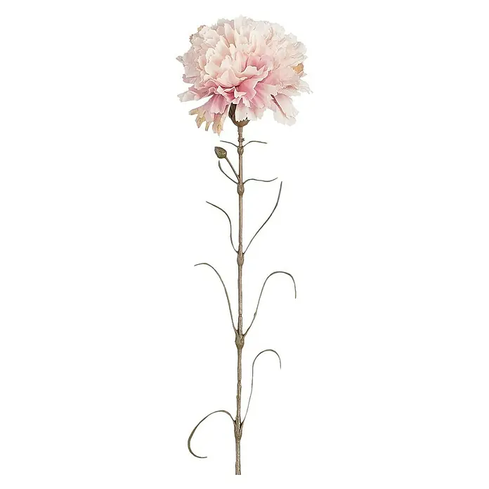 Kunstblume Nelke Rosa - 66 cm, Rosa, Kunststoff - Dekorative zartrosa Blüte mit üppiger Blütenpracht und langem, schlankem Stiel mit zarten Ästen.