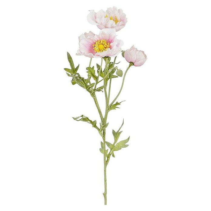 Kunstblume Klatschmohn (62 cm, Weiß/Rosa, Kunststoff) | BAUHAUS