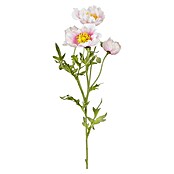 Kunstblume Klatschmohn (62 cm, Weiß/Rosa, Kunststoff) | BAUHAUS