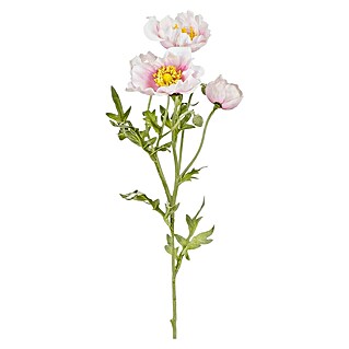 Kunstblume Klatschmohn (62 cm, Weiß/Rosa, Kunststoff)