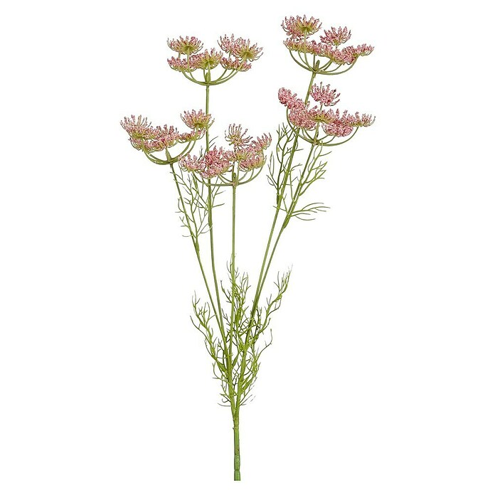 Kunstblume Daucus Carota (81 cm, Rosa, Kunststoff) | BAUHAUS
