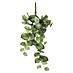 Kunstpflanze Peperomia 