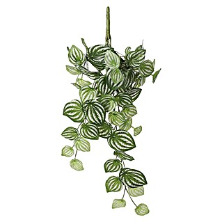 Kunstpflanze Peperomia (58 cm, Grün, Kunststoff)