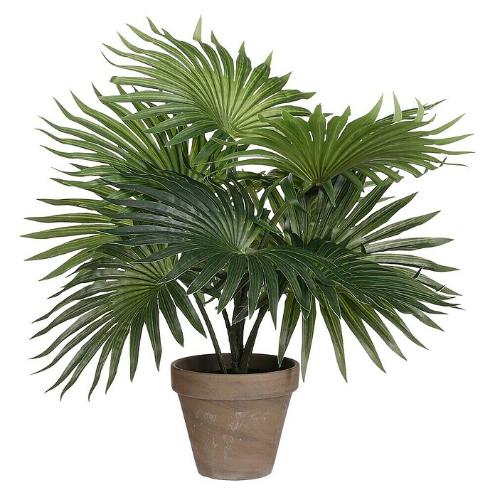 Kunstpflanze Palm (Höhe: 40 cm, Grün, Kunststoff) | BAUHAUS