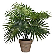 Kunstpflanze Palm (Höhe: 40 cm, Grün, Kunststoff) | BAUHAUS