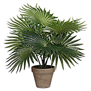 Kunstpflanze Palm (Höhe: 40 cm, Grün, Kunststoff)