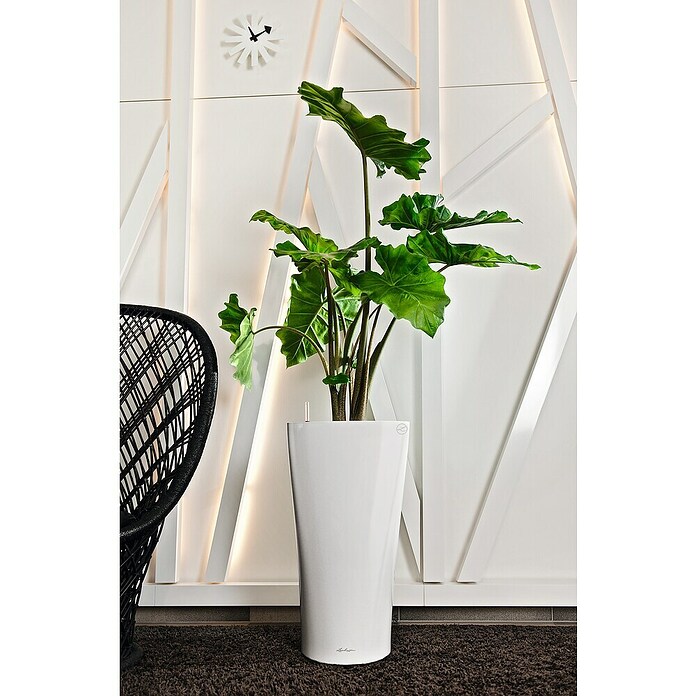 Lechuza Pflanzsäule rund Delta Premium (Ø x H: 29 x 56,5 cm, Kunststoff, Weiß) | BAUHAUS