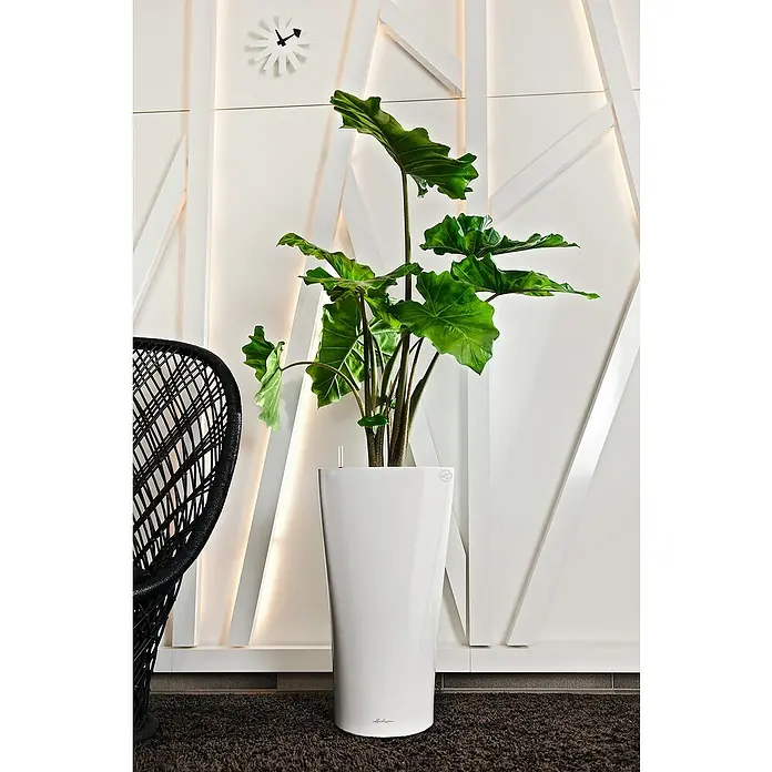 Lechuza Pflanzsäule rund Delta - Kunststoff, Weiß - Ein Arrangement mit einer Zimmerpflanze in einem schlanken, weißen Lechuza-Pflanzgefäß, das stilvoll vor einer modernen Wand steht.