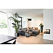 Lechuza Cube Pflanzkübel eckig Cube Premium (Außenmaß (L x B x H): 29,5 x 29,5 x 30 cm, Kunststoff, Grau) | BAUHAUS