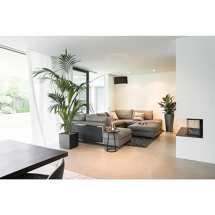Lechuza Cube Pflanzkübel eckig Premium - Außenmaß (L x B x H): 29,5 x 29,5 x 30 cm, Kunststoff, Anthrazit Metallic - Wohnzimmer mit großem grauen Ecksofa, Couchtisch und zwei Zimmerpflanzen in modernen Übertöpfen für ein stilvolles Ambiente.