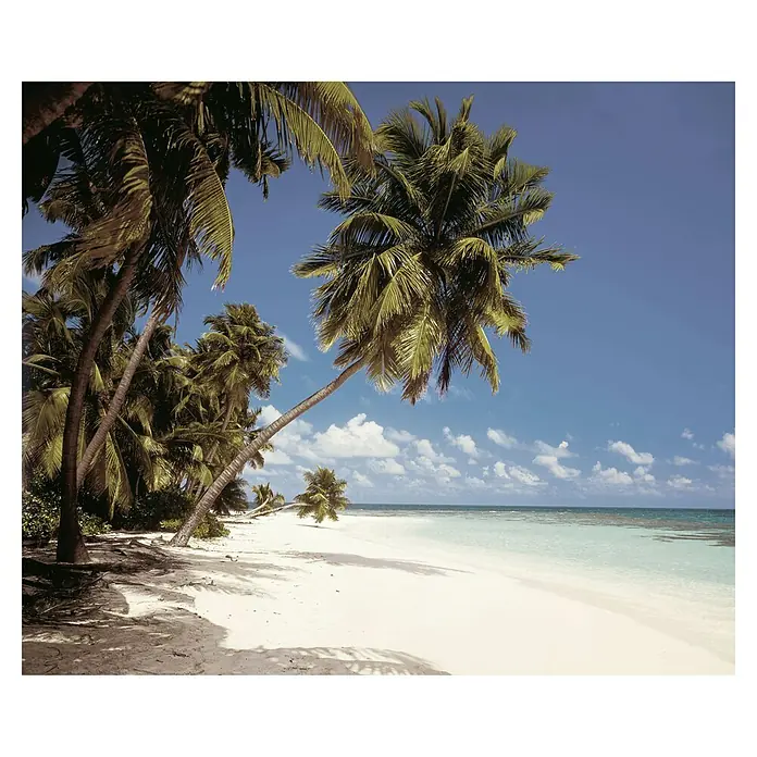 Komar Fototapete Malediven - 6 -tlg., B x H: 300 x 250 cm, Vlies - Tropischer Strand mit weißem Sand, klarem türkisfarbenem Meer, blauem Himmel und Palmen, eine davon neigt sich über den Sand.