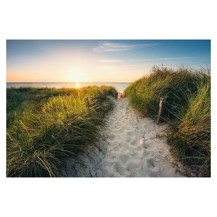 Komar Fototapete Way to the Beach - 4 -tlg., B x H: 368 x 248 cm, Vlies - Ein Sandweg führt durch grasbewachsene Dünen zu einem Strand mit Meer und warmem Sonnenuntergang in der Ferne.