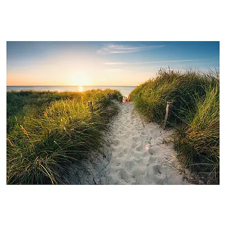 Komar  Fototapete Way to the Beach