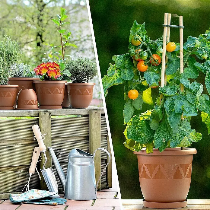 Plastard Pflanztopf Capri 3er Set mit Untersetzer in Terrakotta – Blumentopf - 3 Stk., Kunststoff, Terrakotta