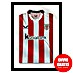 Cuadro enmarcado para camiseta 