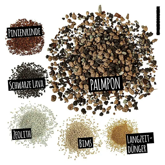 Lechuza Pflanzgranulat Plampon - 12 l - Bestandteile für Pflanzsubstrat: Pinienrinde, schwarze Lava, Zeolith, Bims, Langzeitdünger-Pellets und Palmplon.