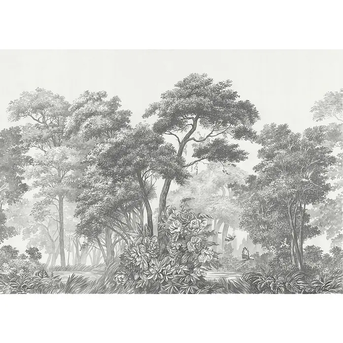 Komar Fototapete Glade - B x H: 350 x 250 cm, Vlies, 7 -tlg. - Wandbild einer ruhigen Waldszene in monochromen Tönen. Das Wandbild zeigt filigrane Bäume, blühende Pflanzen und angedeutete Wasserwege.
