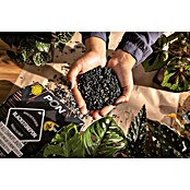 Lechuza Pflanzensubstrat Blackstone Pon (12 l) | BAUHAUS