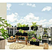 Lechuza Balconera Balkonkasten Cottage (Max. Außenlänge: 100 cm, Graphitschwarz) | BAUHAUS