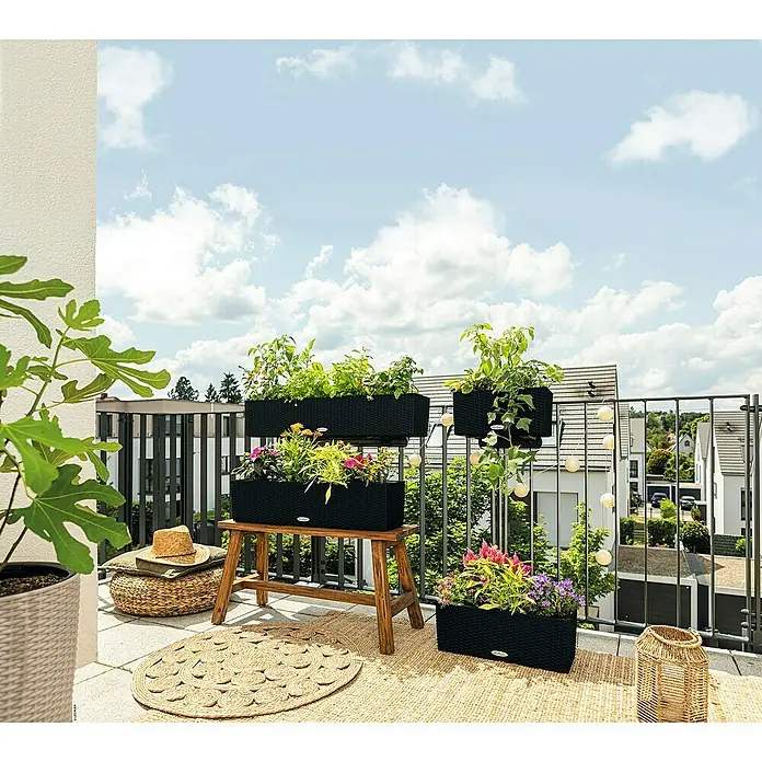 Lechuza Cottage Balkonkasten Balconera - Max. Außenlänge: 80 cm, Kunststoff, Schwarz - Balkonszene mit Lechuza Pflanzgefäßen in verschiedenen Größen, bepflanzt mit Blumen und Kräutern, für eine urbane Gartengestaltung.