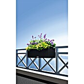 Lechuza Cottage Balkonkasten Balconera (Max. Außenlänge: 80 cm, Kunststoff, Schwarz) | BAUHAUS