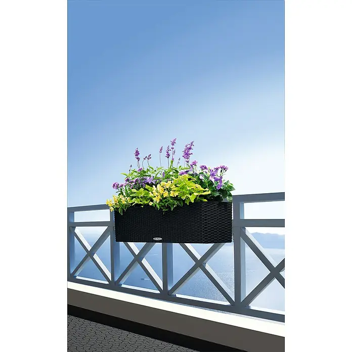 Lechuza Cottage Balkonkasten Balconera - Max. Außenlänge: 80 cm, Kunststoff, Schwarz - Schwarzer Pflanzkasten in Rattan-Optik mit Blumen, am weißen Balkongeländer über dem Meer hängend.