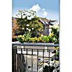 Lechuza Color Balkonkasten Balconera (Max. Außenlänge: 80 cm, Sandbraun) | BAUHAUS