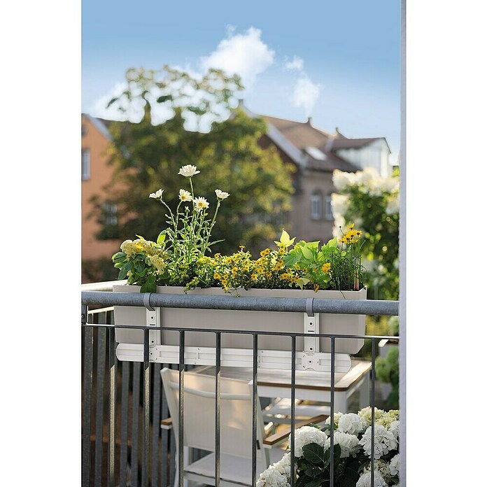 Lechuza Color Balkonkasten Balconera (Max. Außenlänge: 80 cm, Sandbraun) | BAUHAUS