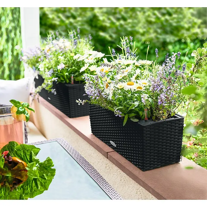 Lechuza Cottage Balkonkasten Balconera - Max. Außenlänge: 50 cm, Kunststoff, Schwarz - Zwei schwarze Pflanzgefäße in Flechtoptik, gefüllt mit weißen und lila Blumen, auf einem Balkongeländer.