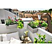 Lechuza Color Balkonkasten Balconera (Max. Außenlänge: 50 cm, Kunststoff, Sandbraun) | BAUHAUS