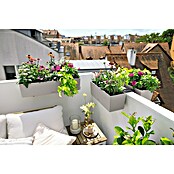 Lechuza Color Balkonkasten Balconera (Max. Außenlänge: 50 cm, Kunststoff, Sandbraun) | BAUHAUS