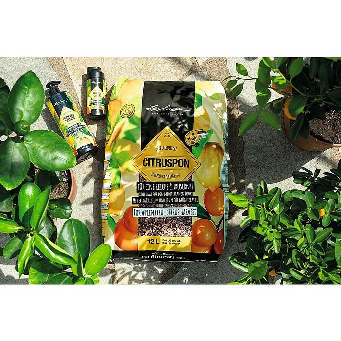 Lechuza Pflanzgranulat Citruspon - 12 l - Lechuza Zitruspflegeprodukte: zwei 'Perfect Citrus' Flüssigdünger und ein 'Citruspon' Spezialsubstrat, umgeben von Topf-Zitruspflanzen auf einer Terrasse.