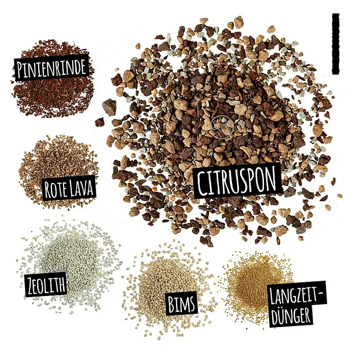 Lechuza Pflanzgranulat Citruspon - 25 l - Verschiedene granulierte Pflanzsubstrate und Langzeitdünger: Citruspon (Zitrusmischung), Pinienrinde, Rote Lava, Zeolith und Bims.