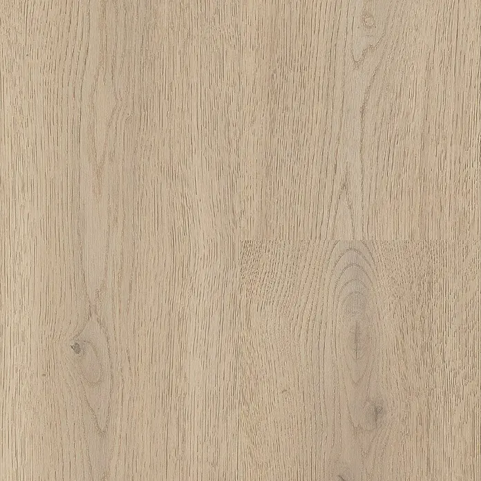 LOGOCLIC Edition Laminat Vinto - Twilight Oak, Landhausdiele, 1.288 x 245 x 8 mm - Helle Eichenholzplatte mit natürlicher Maserung und dezenten Ästen.