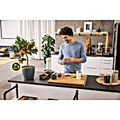 Lechuza Classico Pflanztopf Eco (Außenmaß (Ø x H): 21,5 x 20,5 cm, Kunststoff, Grau) | BAUHAUS